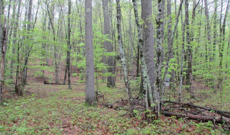 72 Brewster Rd, Barrington, NH 03825 - 0 Beds, 0 Bath