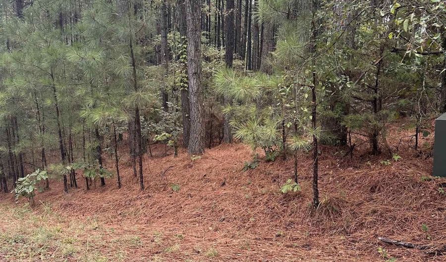 19 Pizarro Dr, Hot Springs Village, AR 71909 - 0 Beds, 0 Bath