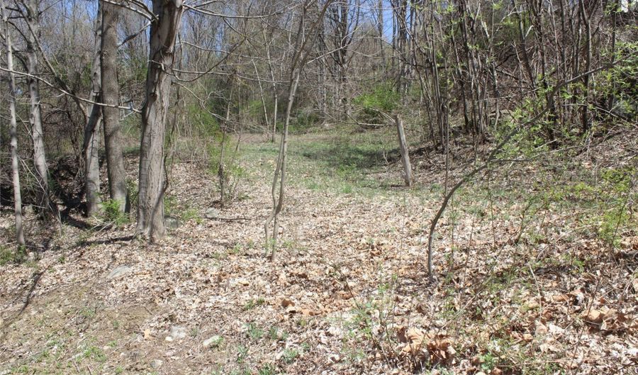 Old State Route 22, Amenia, NY 12501 - 0 Beds, 0 Bath