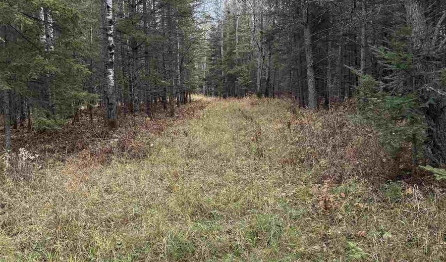 TBD Lane 55 County Road 341, Aurora, MN 55705 - 0 Beds, 0 Bath