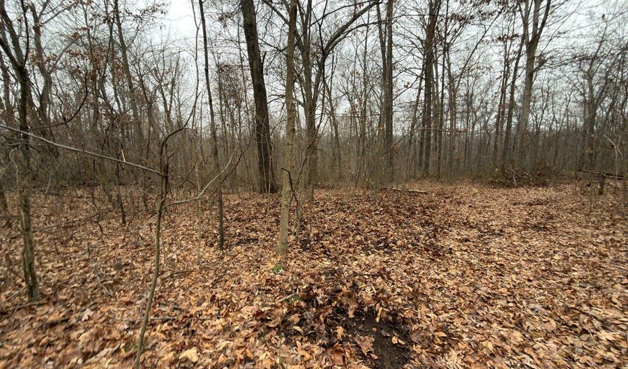 TBD1 E Willow Rd, Bloomfield, IN 47424 - 0 Beds, 0 Bath