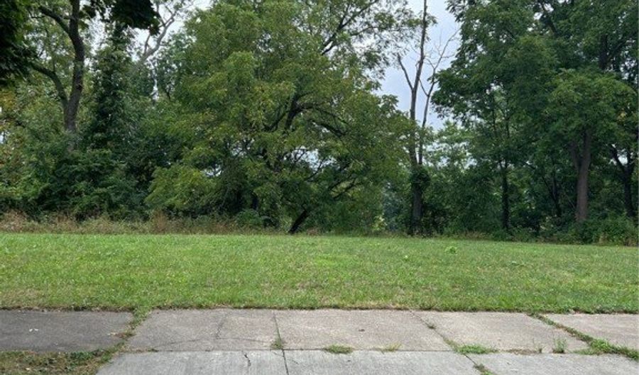 233 Arch St, Akron, OH 44304 - 0 Beds, 0 Bath
