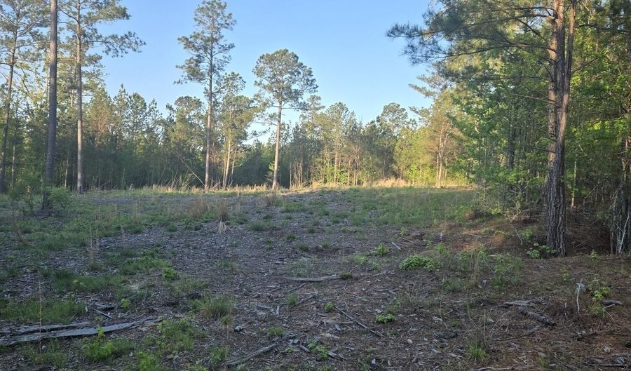 0 SWEETGUM Ln, Lincolnton, GA 30817 - 0 Beds, 0 Bath