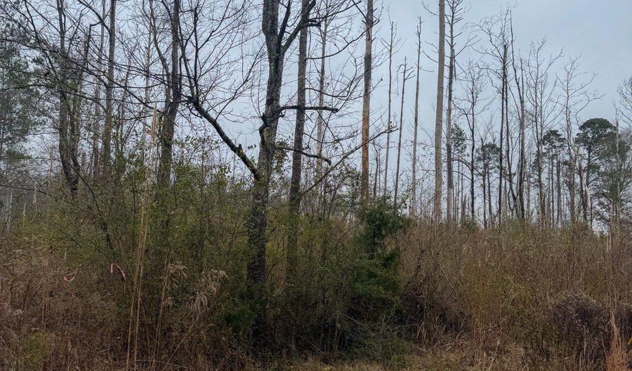 Jack Road, Braxton, MS 39044 - 0 Beds, 0 Bath