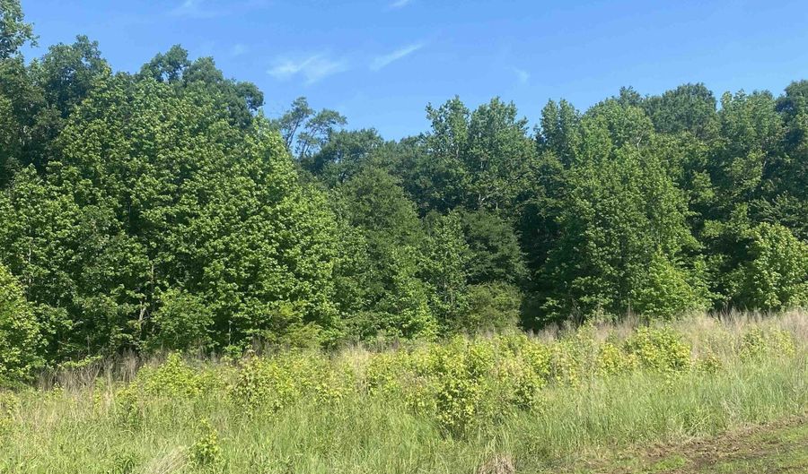 Lot 24 and 25 Cinel Loop, Austin, AR 72007 - 0 Beds, 0 Bath