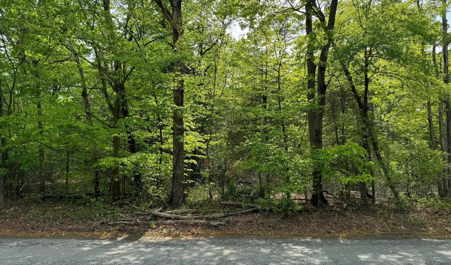 OLD MARSHALL HALL ROAD, Accokeek, MD 20607 - 0 Beds, 0 Bath