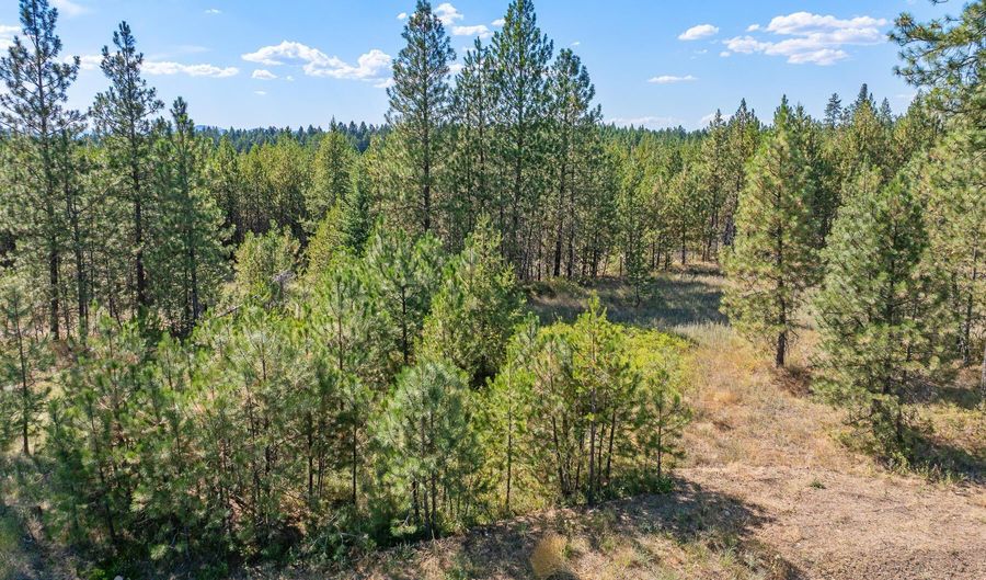 Lot 16 Asulkan St, Athol, ID 83801 - 0 Beds, 0 Bath