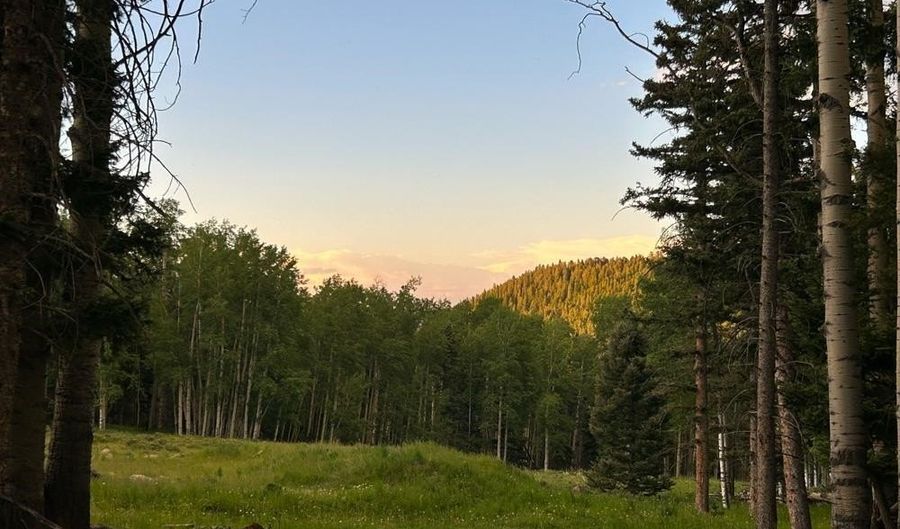 168 Mertz Pl Lot 65, Angel Fire, NM 87710 - 0 Beds, 0 Bath