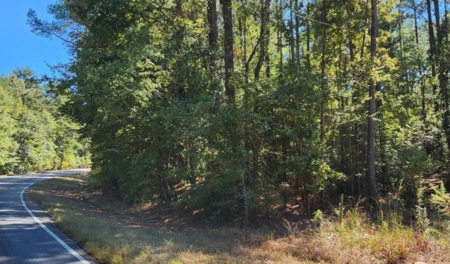 3170 Co Rd 53, Abbeville, AL 36319 - 0 Beds, 0 Bath