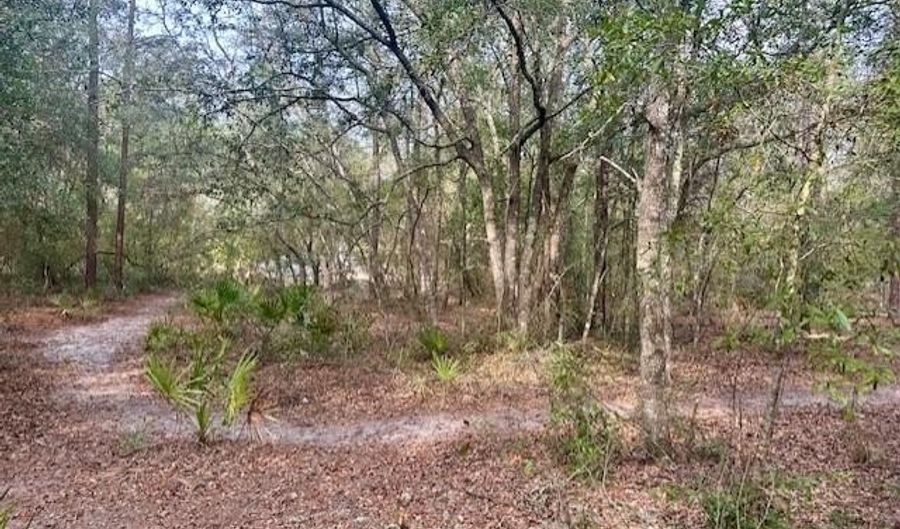 NW 11th Ave, Bell, FL 32619 - 0 Beds, 0 Bath