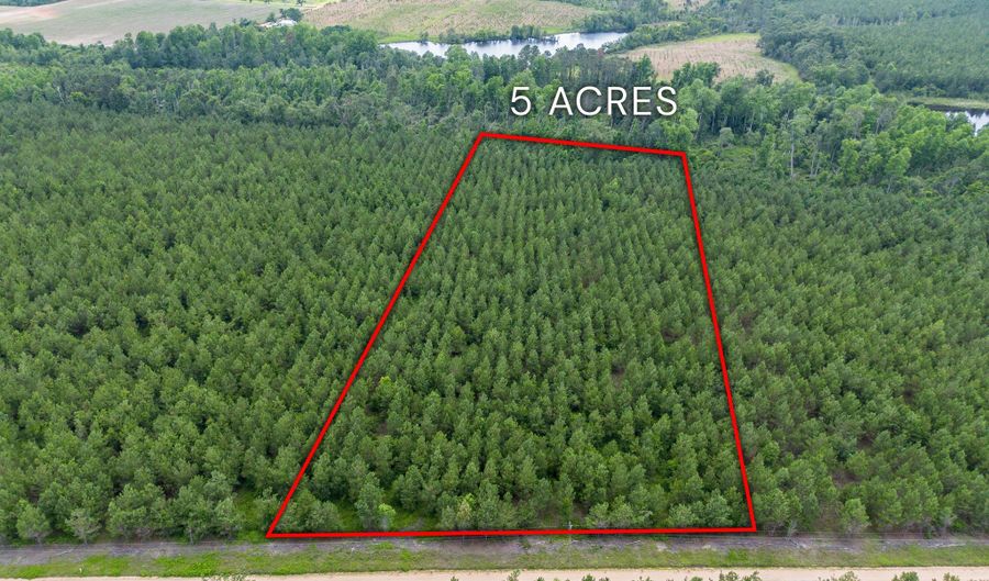 Tract 9 Sanderling, Alma, GA 31510 - 0 Beds, 0 Bath