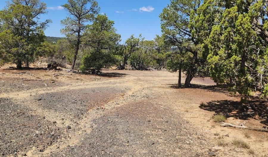 15 Co Rd 3041, Concho, AZ 85924 - 0 Beds, 0 Bath