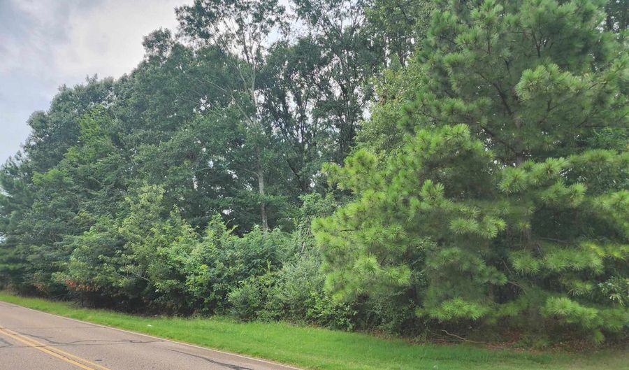 HAYES Rd, Arlington, TN 38002 - 0 Beds, 0 Bath