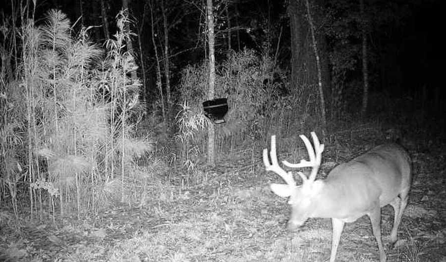 0 Progress Road Rd, Beaumont, MS 39423 - 0 Beds, 0 Bath