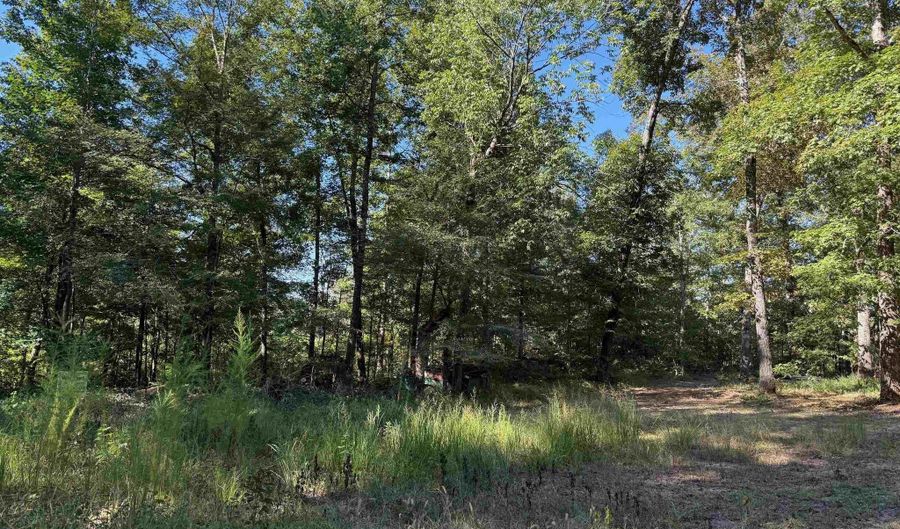 HARRIS, Adamsville, TN 38310 - 0 Beds, 0 Bath