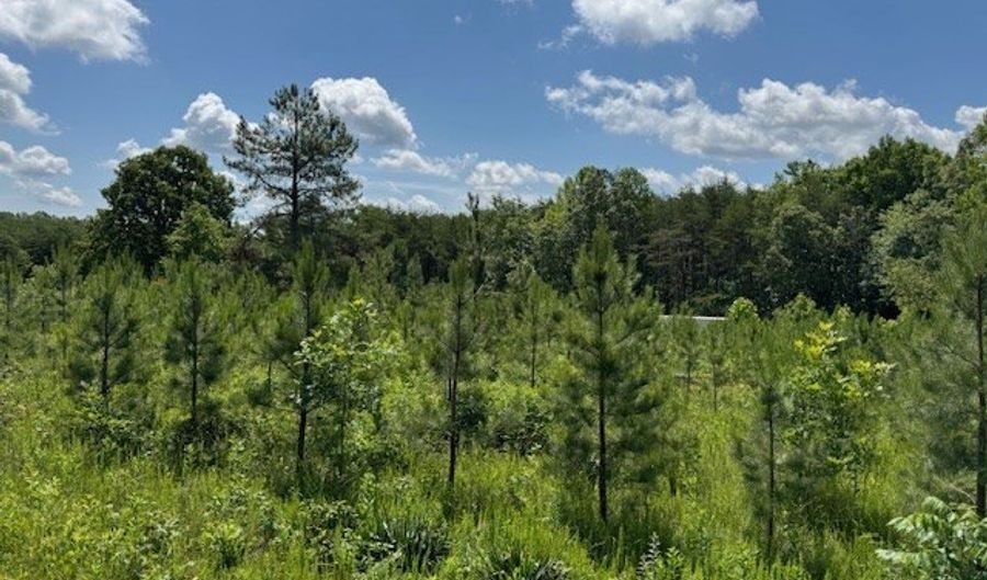Mini Ball Lane, Appomattox, VA 24522 - 0 Beds, 0 Bath