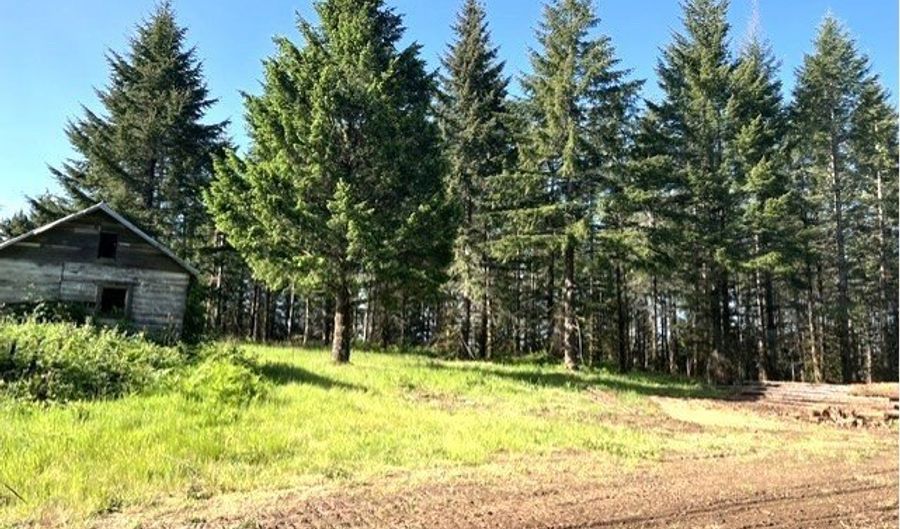 NW Lodge Rd, Banks, OR 97106 - 0 Beds, 0 Bath