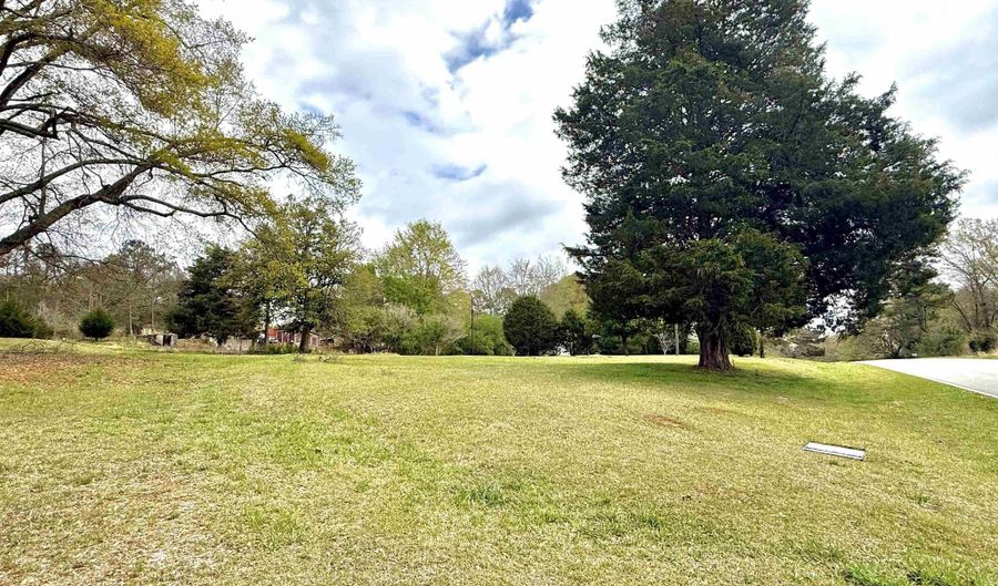 MITCHELL LANE lot 0, Ashland, AL 36251 - 0 Beds, 0 Bath