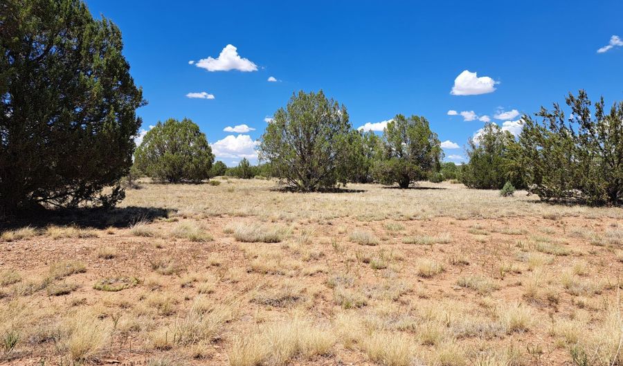 20614014 E W Isabella Ln, Ash Fork, AZ 86032 - 0 Beds, 0 Bath