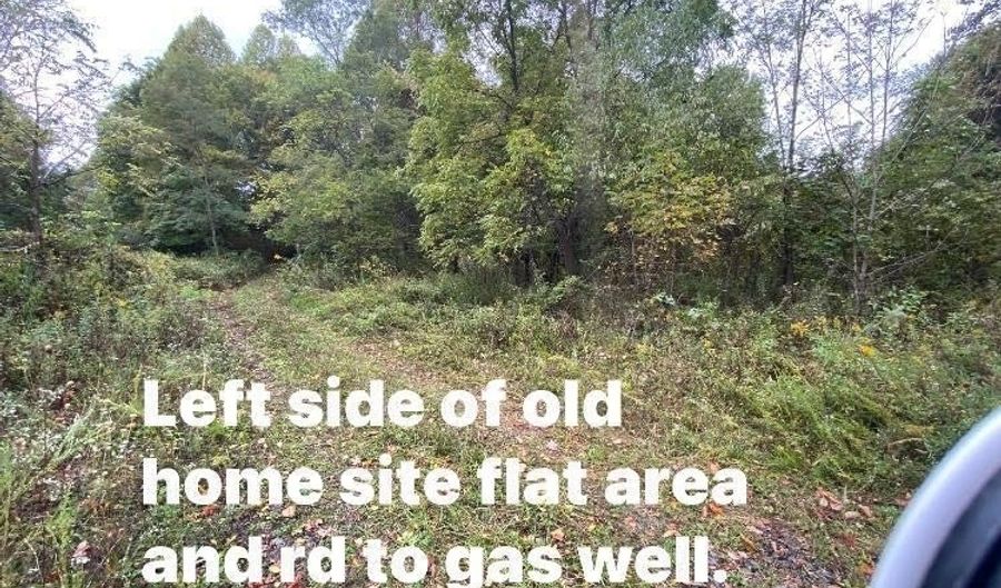 Bandy Rd / Whitaker Ridge Area, Bandy, VA 24602 - 0 Beds, 0 Bath