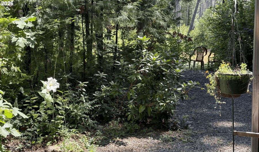 54432 MCKENZIE Hwy 1, Blue River, OR 97413 - 0 Beds, 0 Bath