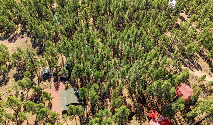 11 County Road 2135, Alpine, AZ 85920 - 0 Beds, 0 Bath