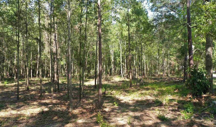 Lot 1a Harris St, Atmore, AL 36502 - 0 Beds, 0 Bath