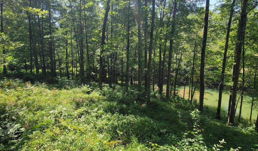 Lot 25 Legendary Parkway, Arley, AL 35541 - 0 Beds, 0 Bath