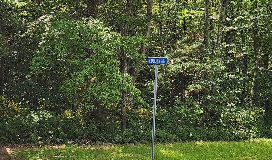 38335 COLLINS Rd, Avenue, MD 20609 - 0 Beds, 0 Bath