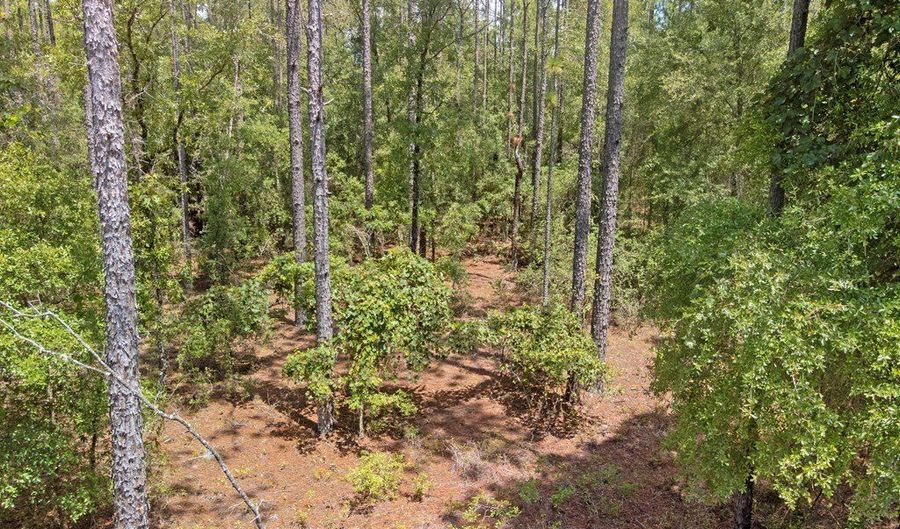 TBD 65th St, Bell, FL 32619 - 0 Beds, 0 Bath