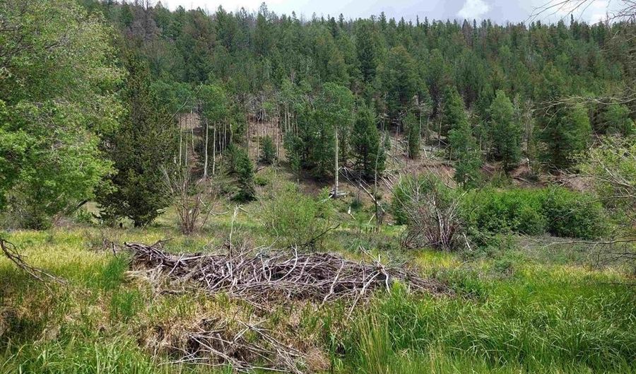 Lots 1-4 block 4, Bonanza, CO 81155 - 0 Beds, 0 Bath