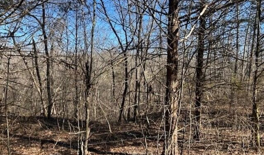 7789 E Co Rd T-561, Ava, MO 65608 - 0 Beds, 0 Bath