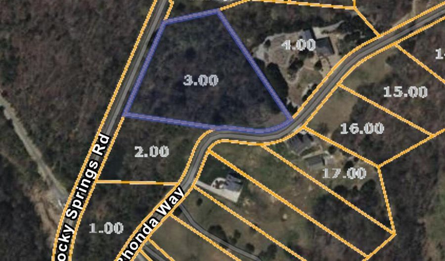 Rocky Springs Road, Bean Station, TN 37708 - 0 Beds, 0 Bath