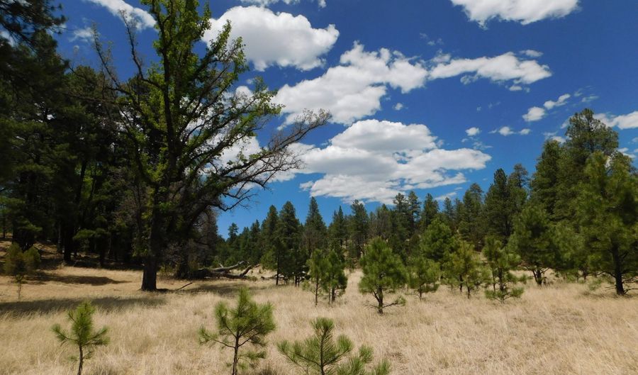 10 N2310, Alpine, AZ 85920 - 0 Beds, 0 Bath