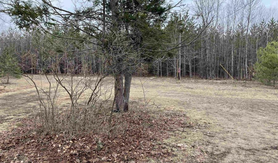 9718 NE FOREST Ln, Alden, MI 49612 - 1 Beds, 0 Bath