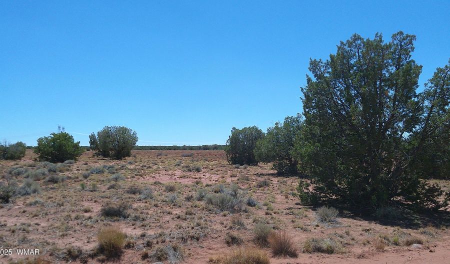 Tbd Ranch of the White Mountains10, Concho, AZ 85924 - 0 Beds, 0 Bath