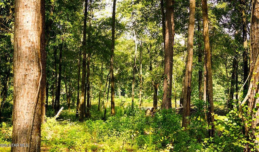 Cypress Pointe Drive lot 4, Brooksville, MS 39739 - 0 Beds, 0 Bath