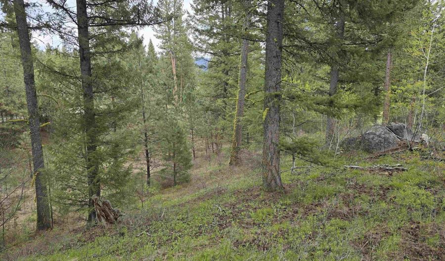 L3 B2 Rehn Loop, Cascade, ID 83611 - 0 Beds, 0 Bath