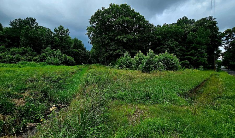 LOT 1 WHITNEY SWAMP ROAD, Bridgeville, DE 19933 - 0 Beds, 0 Bath