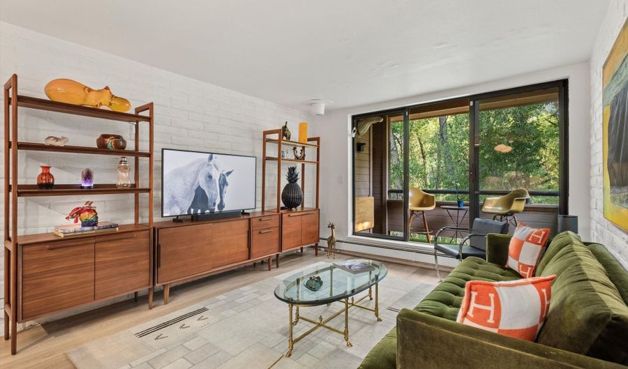 332 VINE St, Aspen, CO 81611 - 2 Beds, 2 Bath