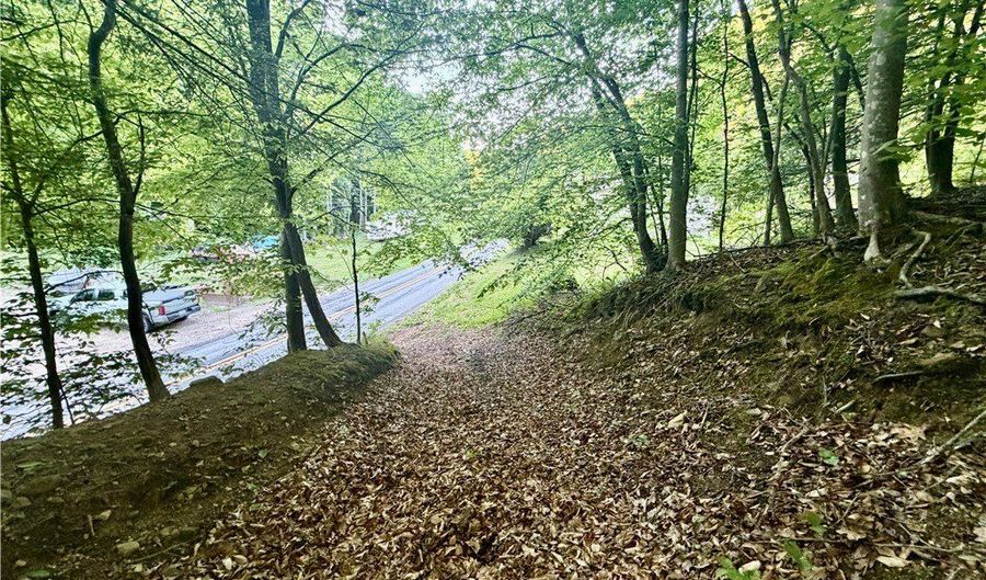 868 Bulger Rd, Alkol, WV 25501 - 0 Beds, 0 Bath