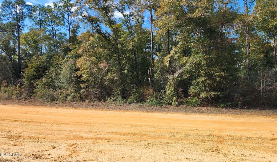 Breese Court lot 29, Alford, FL 32420 - 0 Beds, 0 Bath