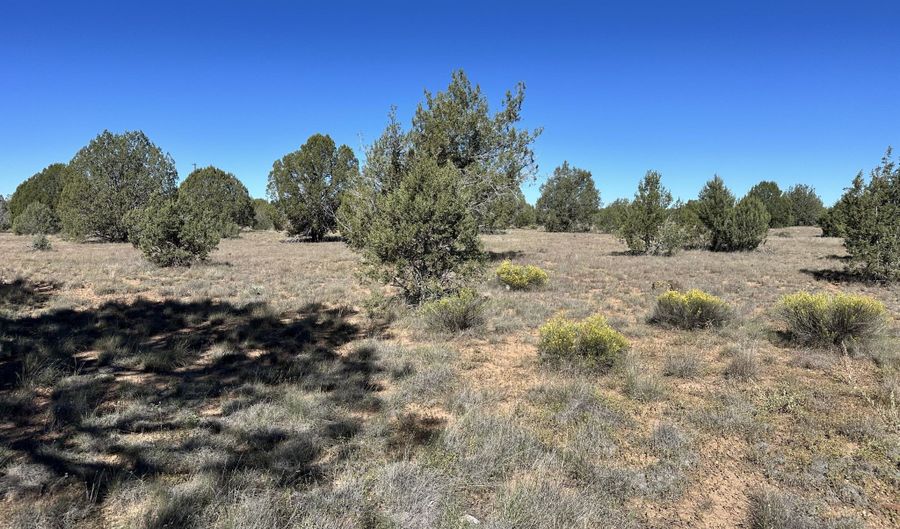 W Isabella Lane, Ash Fork, AZ 86320 - 0 Beds, 0 Bath