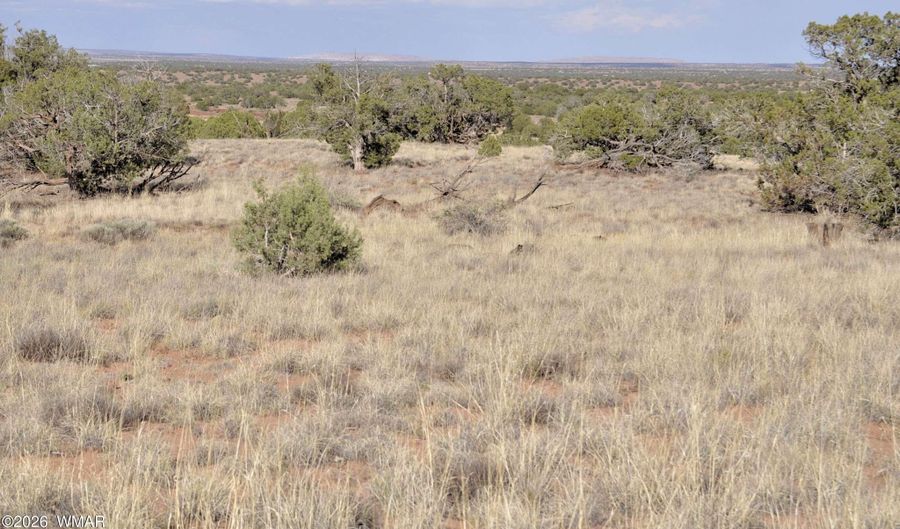 10 N9228, Concho, AZ 85924 - 0 Beds, 0 Bath