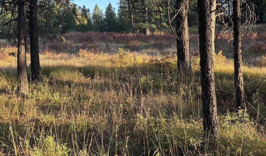 Tbd Harlow Ridge Rd - Cloverland Estates 26, Asotin, WA 99402 - 0 Beds, 0 Bath