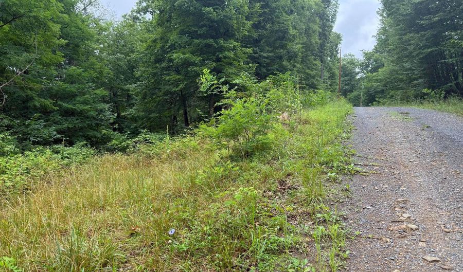 TR D-15 DEER PATH Road, Augusta, WV 26704 - 0 Beds, 0 Bath