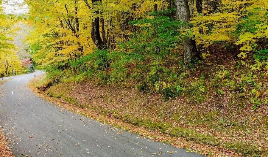 Tynecastle Drive lot 35, Banner Elk, NC 28604 - 0 Beds, 0 Bath