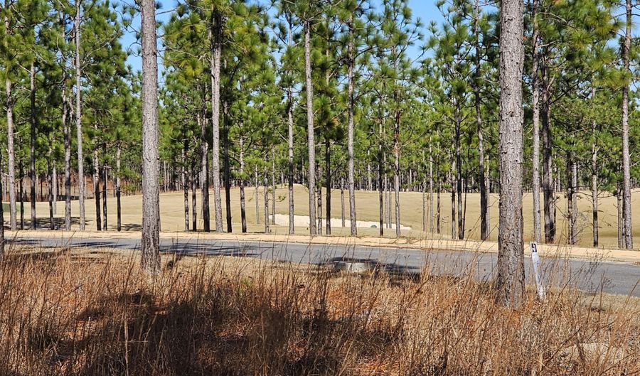 104 Dedies Way, Alexander City, AL 35010 - 0 Beds, 0 Bath