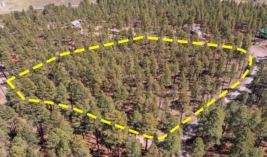 County Road 2325, Alpine, AZ 85920 - 0 Beds, 0 Bath