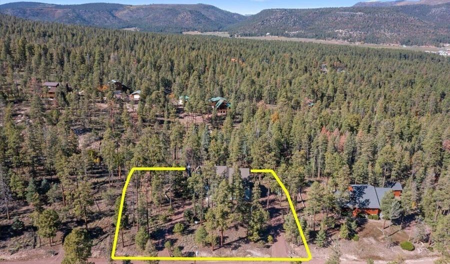 12 County Rd 2074, Alpine, AZ 85920 - 4 Beds, 3 Bath